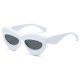 Metal UV Shield Eyewear Collection (1 dozen)